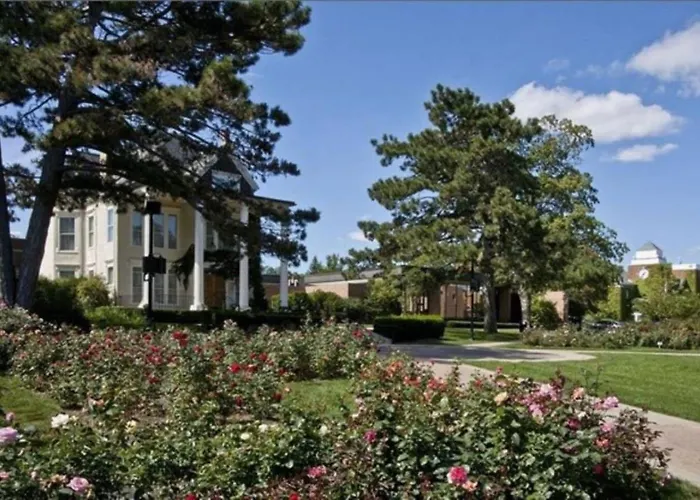 New Updated Half A Mile To Downtown Libertyville