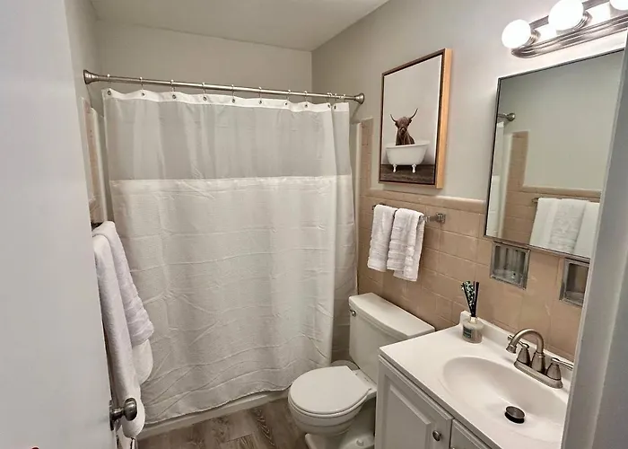 New Updated Half A Mile To Downtown *